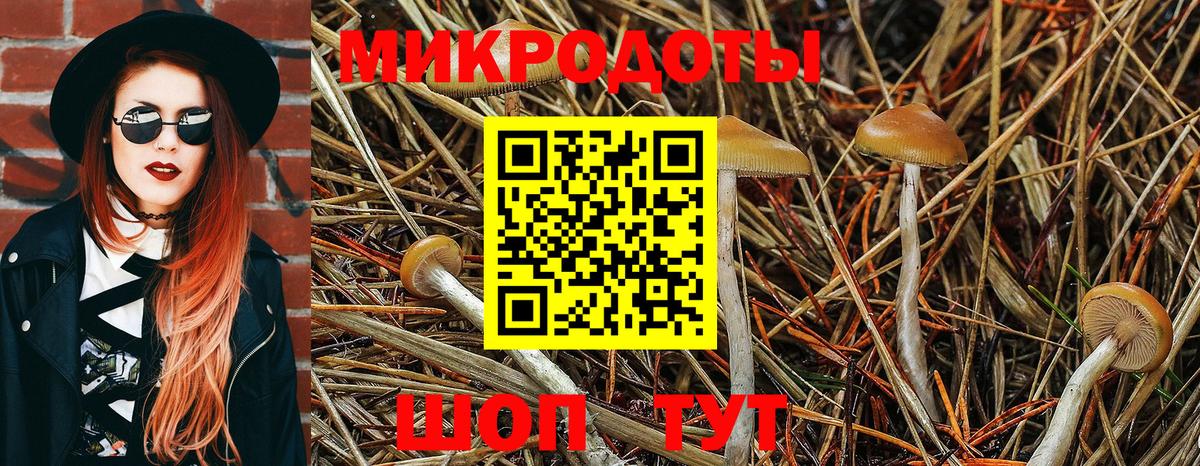 Псилоцибиновые грибы мицелий Коломна